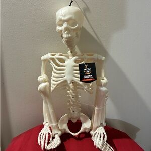 [NWT] Hyde & EEK! Boutique 36" Posable Skeleton – Halloween Decor